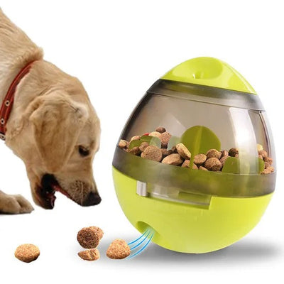 Toy Feeders & Treats