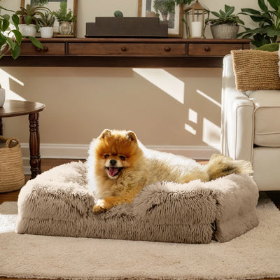 Warming Fluffy Orthopedic Dog Beds for Large Dogs,Dog Bed with Plush Thick Egg Foam Support and Non-Slip Bottom, Large Waterproof and Machine Washable Pet Bed Cover